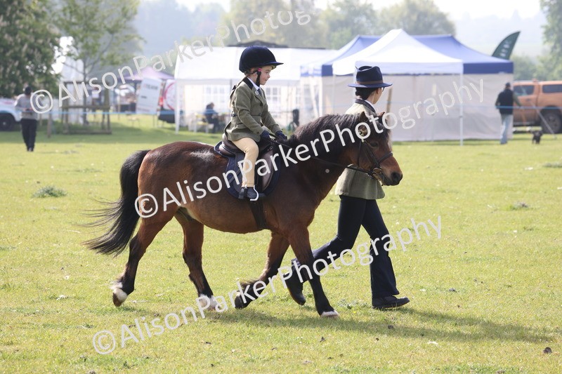 20260426-0341 - Class 30 - Tiny Tots Lead Rein