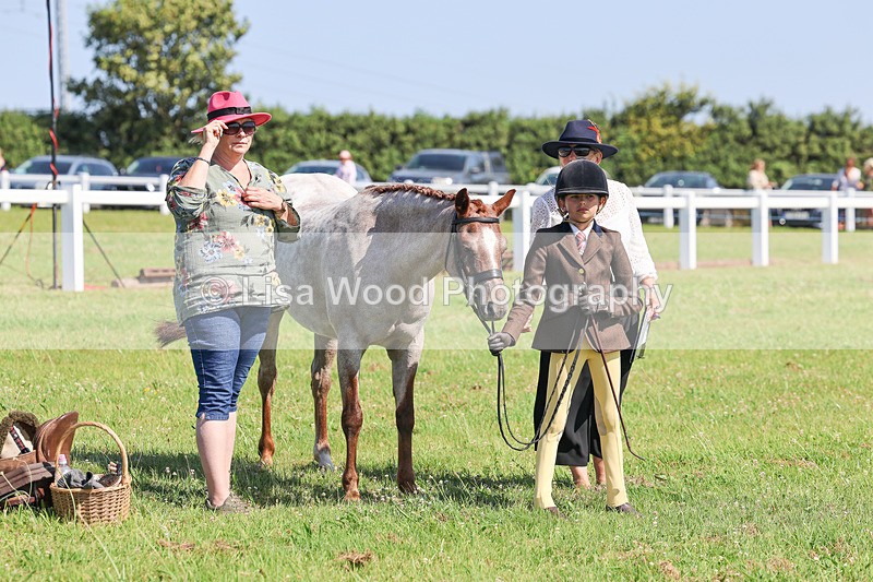 IMG_1958 - Class 33: Show Pony 148cm and under