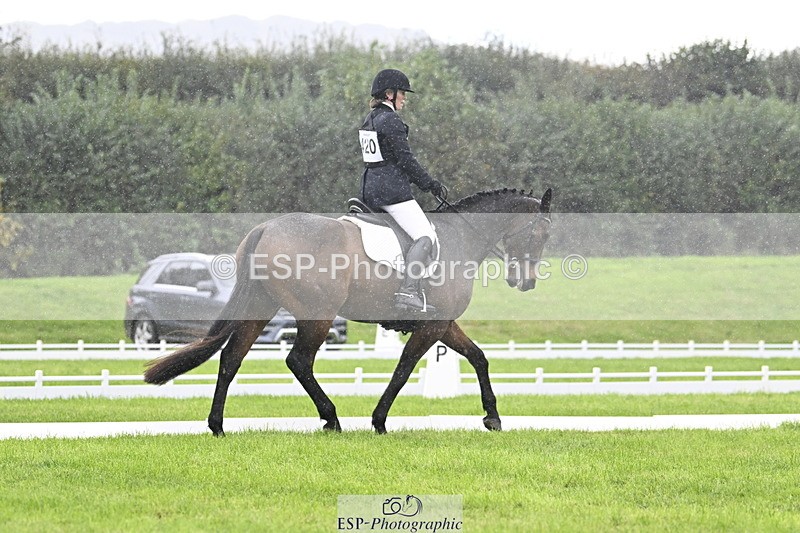 251023A-121009-04026 - F-420-Helen.Buckland