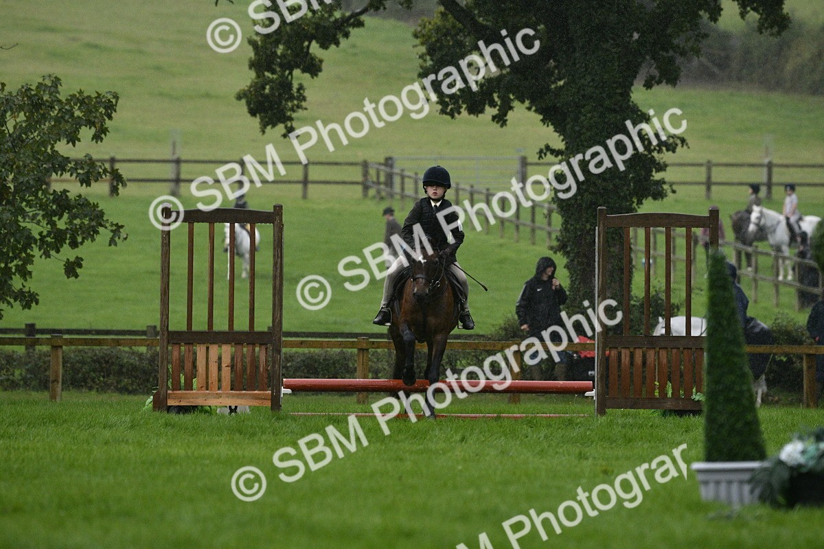 SBM_35497 - S30 - Nursery Stakes Working Hunter Pony
