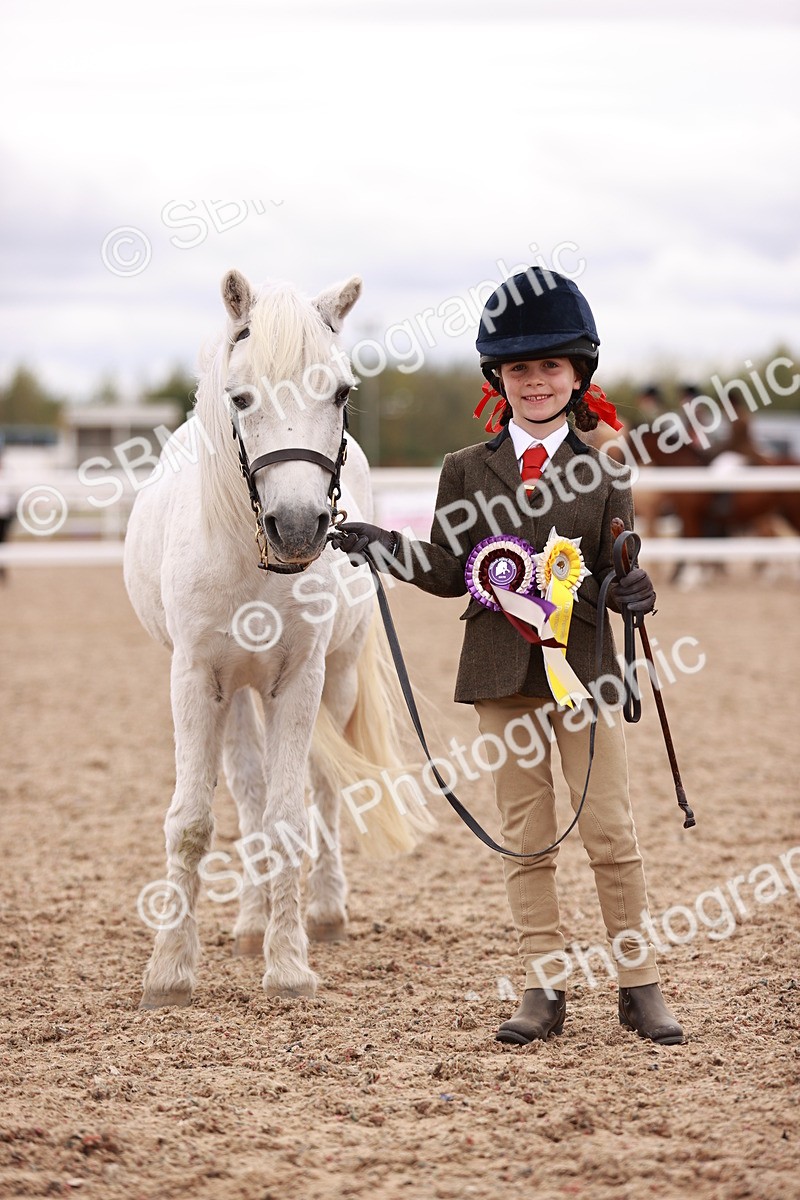 SBM_18622 - Class 421 - Childs Best Friend - Jnr