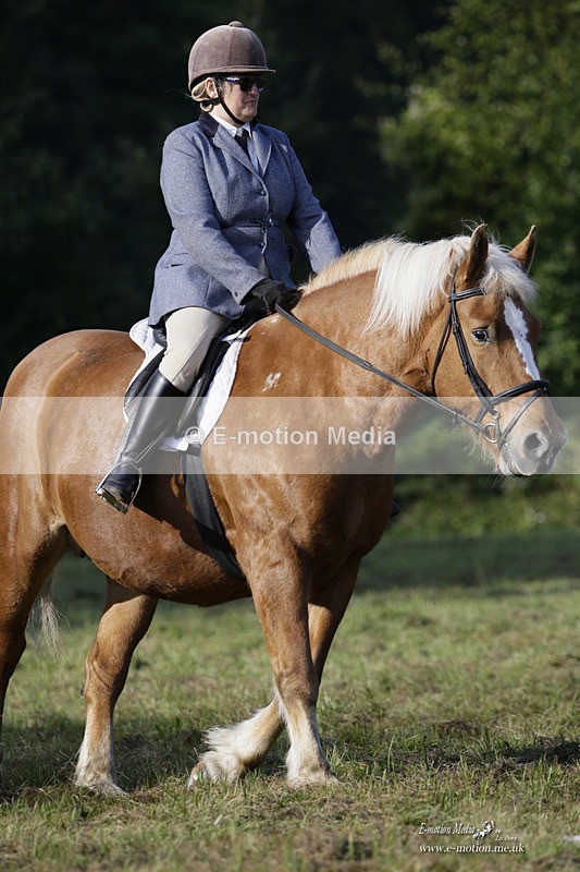 BVRC 120921 88 - Bourne Valley Riding Club UA Dressage & Show Jumping 12/09/21