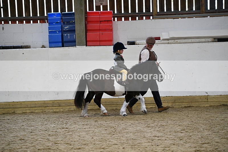 WJ5_6648 - Class 10 Childs Pony