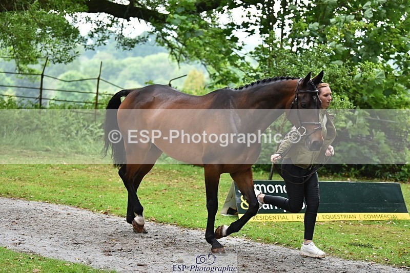 240522-170032-01321 - 271-WILD_ATLANTIC_WAY-Susie_Berry