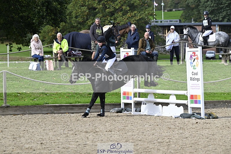 251005A-125910-03990 - Cls 08 Mini 70-75cm