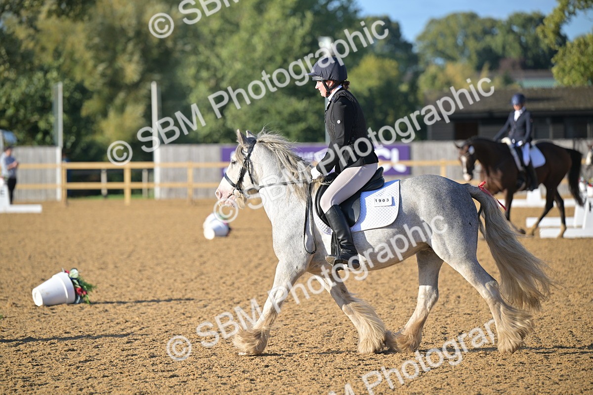 SBM_13141 - D3 - Small Tour Championship Intro 3