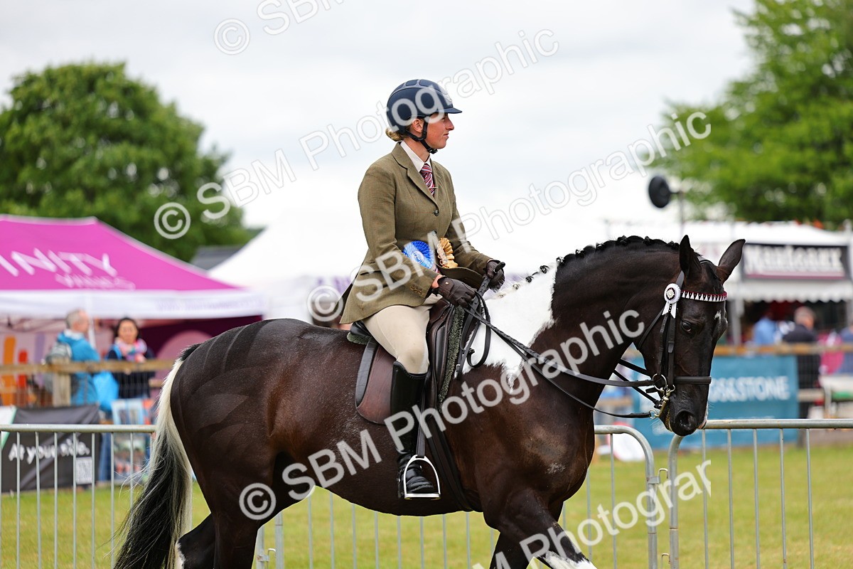 SBM_02582 - Class 9-11 Side Saddle including LIHS Rising Star Ladies Show Horse