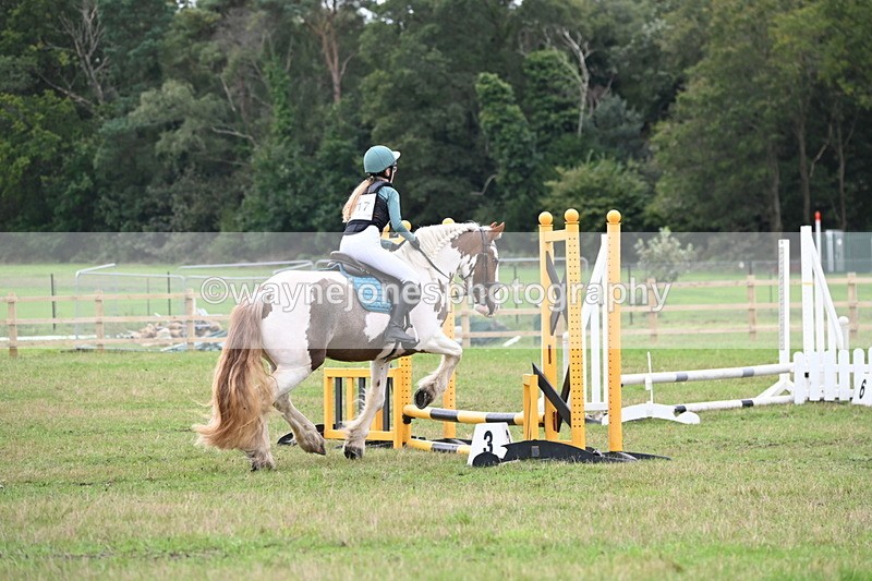 WJ6_0245 - 40cm Time 10:00 to 10:28