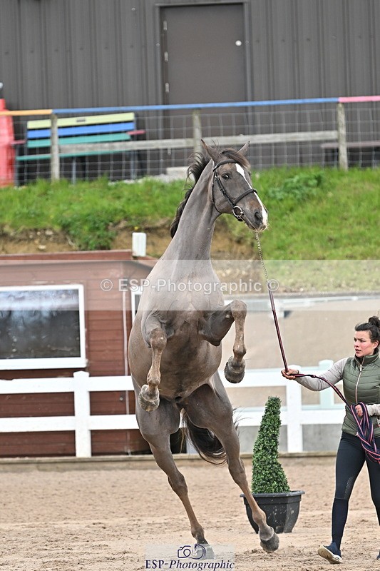 240417A-124305-00182 - 12pm to 1pm