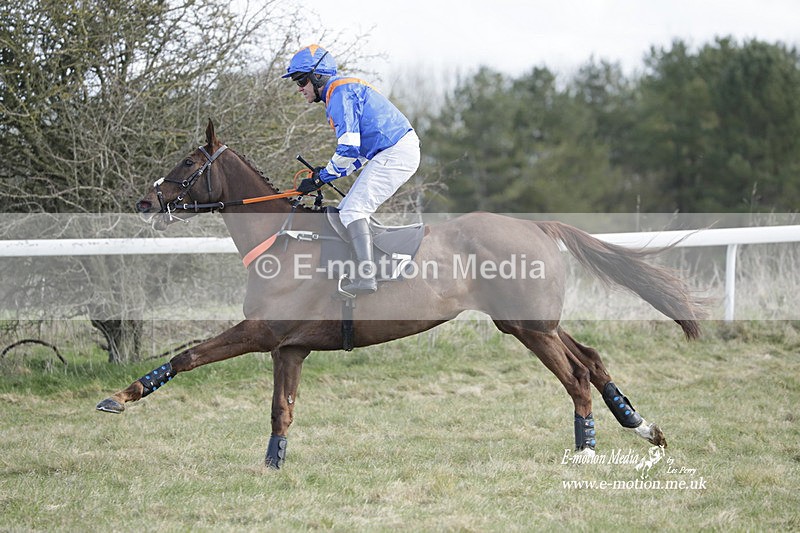 PtP 260223 560 - South & West Wilts Point-to-Point Larkhill 26/02/23