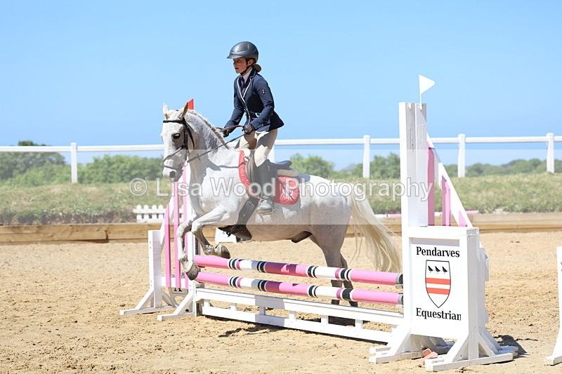 3E7A2427 - Class 4/5: 60cm Open Teams and Individuals