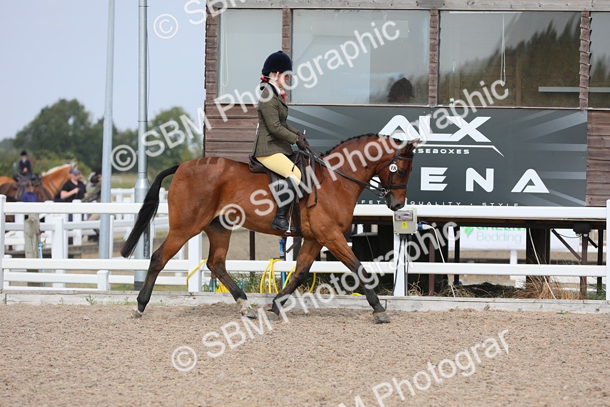 SBM_15576 - Class 311 Ridden Show Pony/ Show Hunter Pony