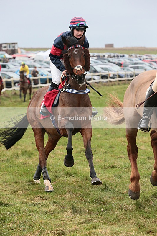 PtP 060119 75 - Larkhill Racing Club - Point-to-Point- 06/01/2019