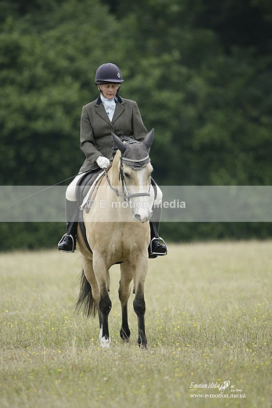 BVRC 030721 487 - Bourne Valley Riding Club Dressage 03/07/21
