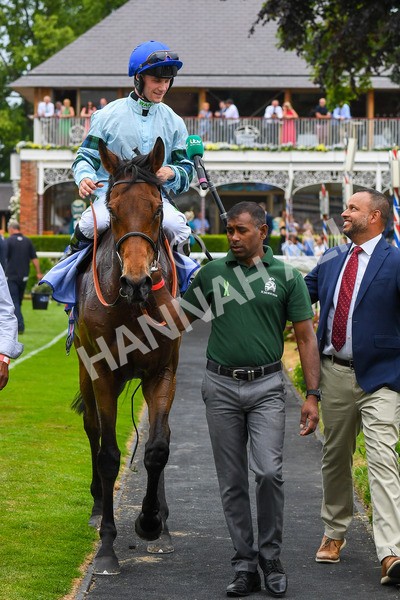 170623-Race 3-Quickthorn-0492 - Race 3 3.05pm Sky Bet Race To The Ebor Grand Cup Stakes