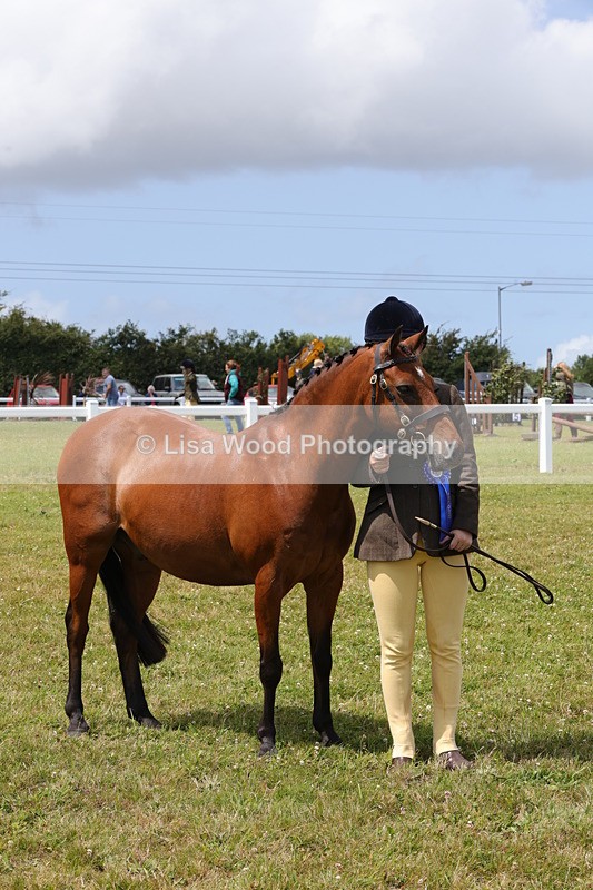 1X9A4865 - Class 35: Veteran In Hand