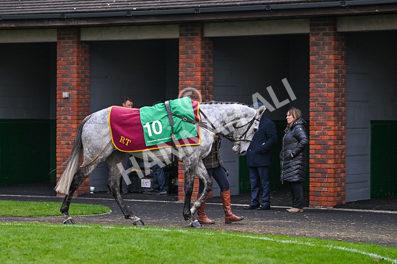 130325-Sine Nomine-WR-1929 - 13th March