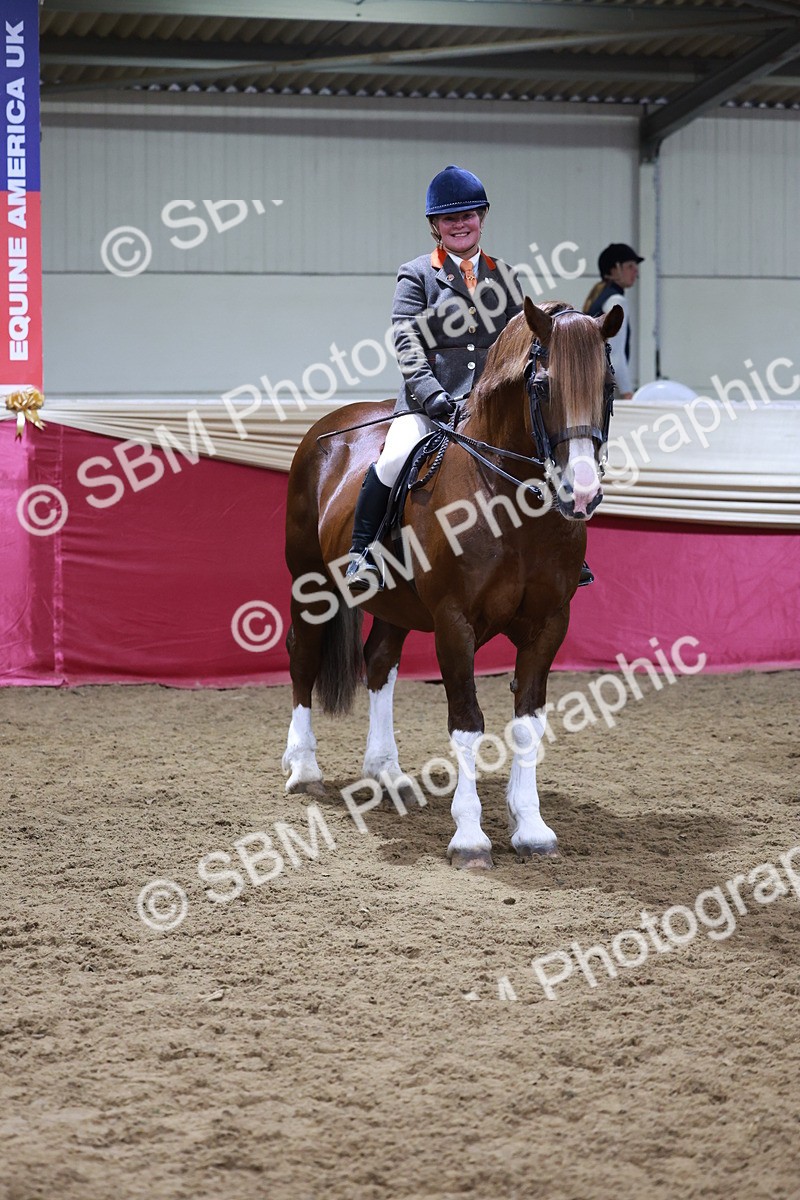 SBM_18867 - Class 952 - M&M Ridden Supreme Final