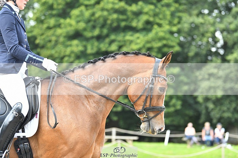 230812-114220-03680 - Cls 6 Novice Silver 10.30 to 11.55 break