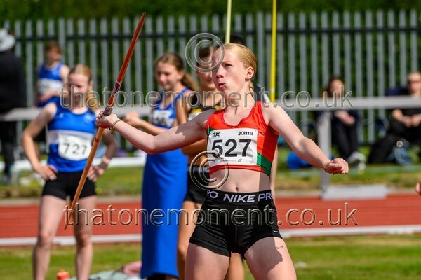 Age25SAT-926097 - Field Female Set One