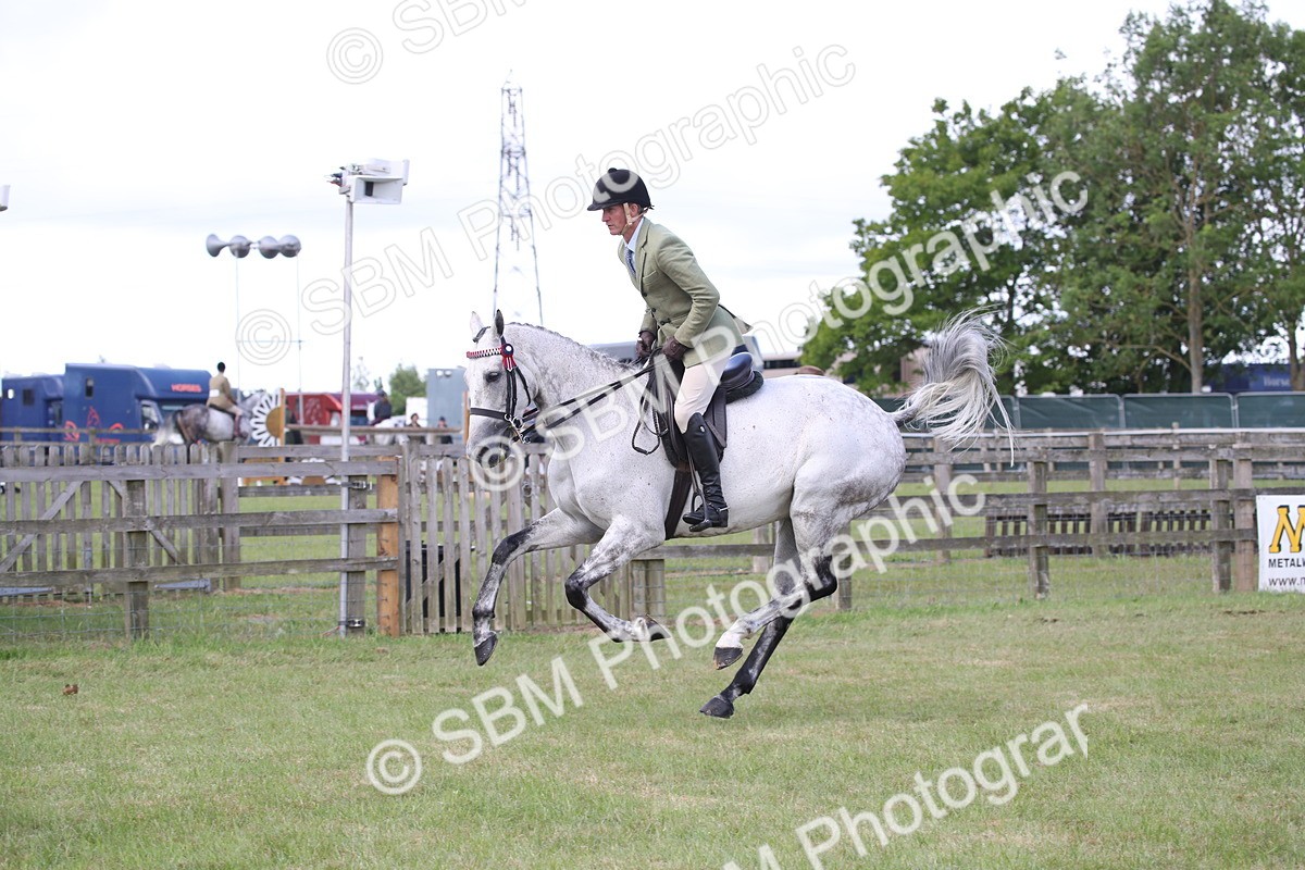 SBM_14209 - Class 113-114 - Retraining of Racehorses Ridden