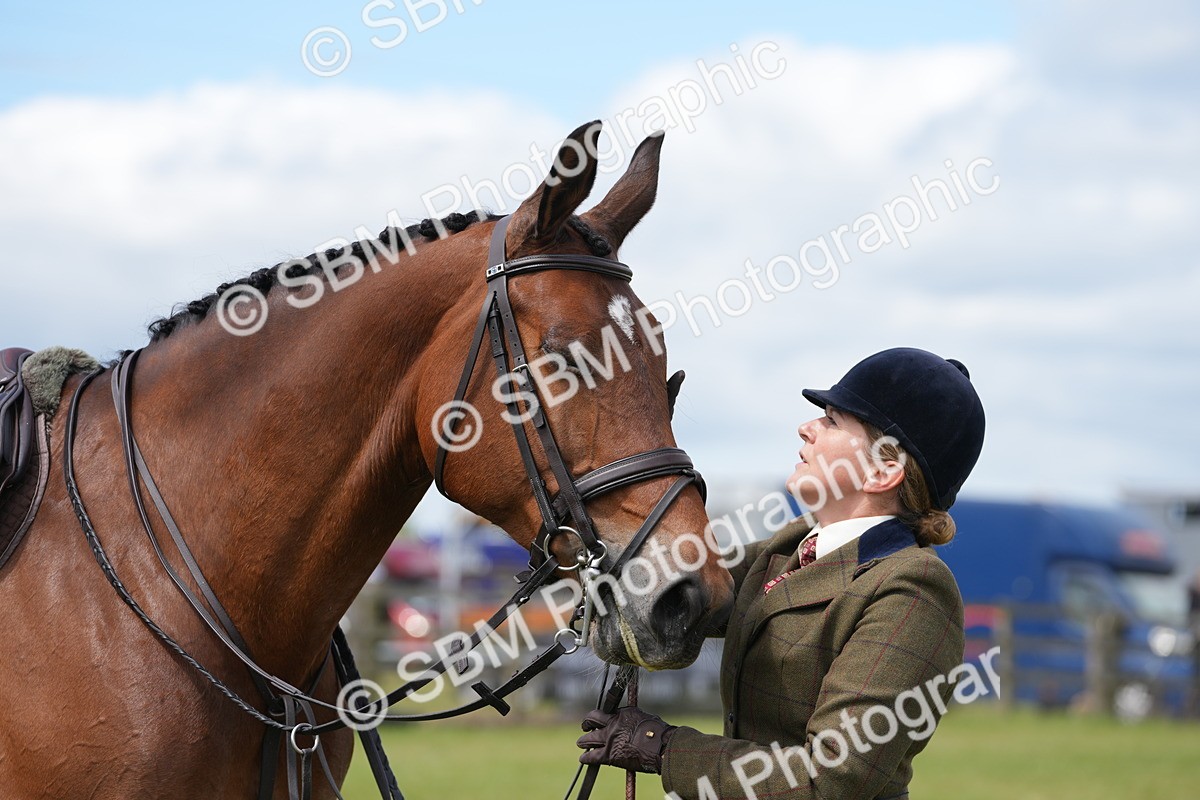 SBM_15027 - Class 100-102 - RIHS Working Hunter