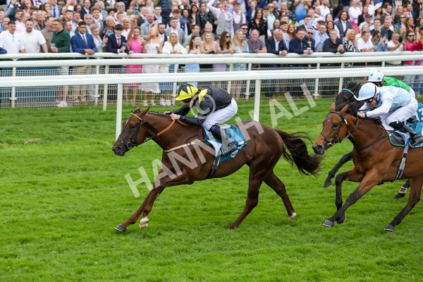 250524-Race 2-Arabie-3024 - Race 2 2.10pm Reg Bond 'Always And Forever' EBF Restricted Novice Stakes