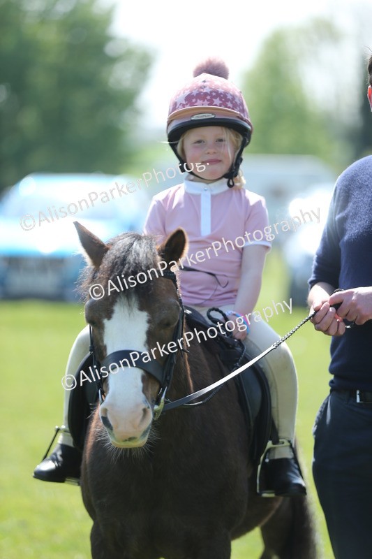 20250427-2707 - Class 6 - Pony Judge Would Most Like To Take Home