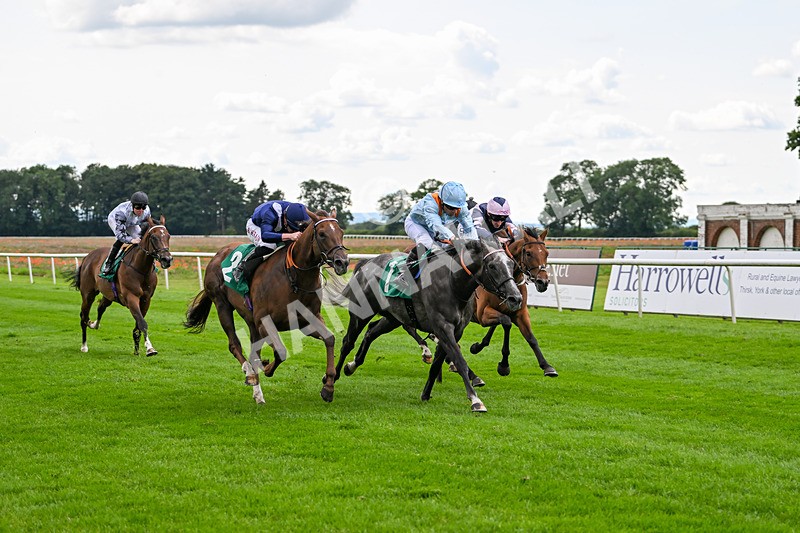 170724-Race 4-Bobby Bennu-0121