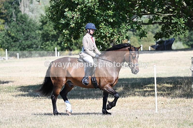 WJ7_3886 - Class 9 Mountain & Moorland Ridden
