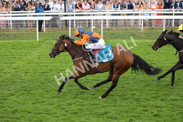 yr23072022r7-21 - Race 7 5.35pm Sky Bet Paying Extra Places Stakes