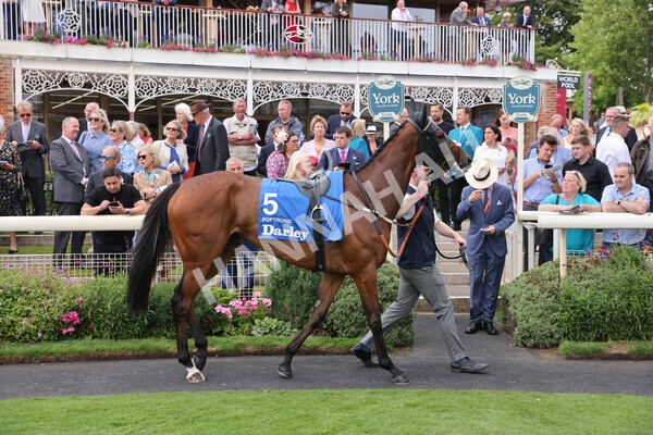 yr18082022r4-5 - Race 4 3.35pm Darley Yorkshire Oaks (British Champions Series Race)