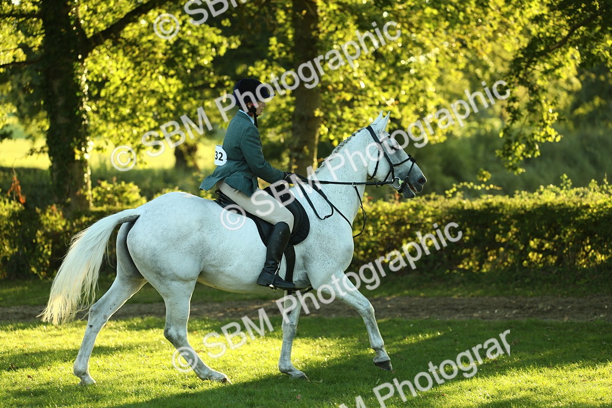 SBM_56403 - S14 - Riding Club Horse