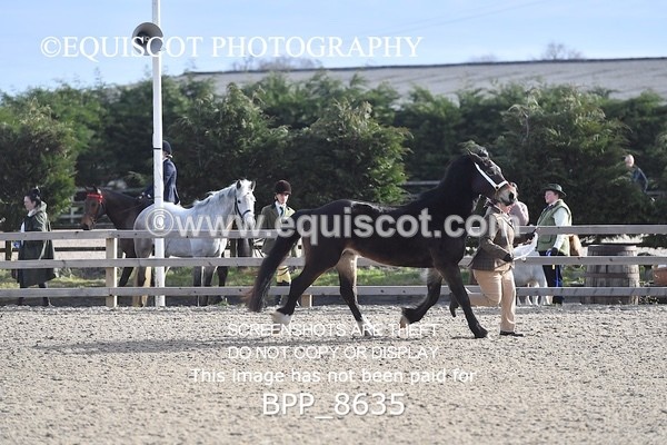 BPP_8635 - RING 2 - M&M