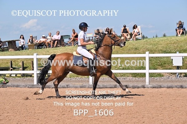 BPP_1606 - THU CLASS 3 Scottish Branch North West Junior Championship **Viewing/Selection class for 148 teams**