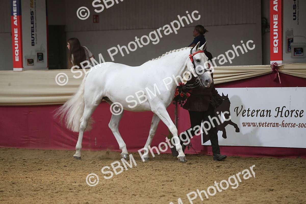 SBM_05483 - Class 9R - Regional IH Pre-Vet