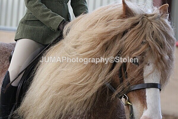 SIAL1988 - Indoor Classes