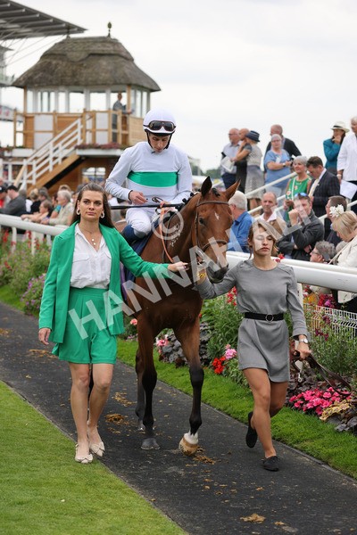 yr20082021r4-89 - Race 4 3.35pm Coolmore Wootton Bassett Nunthorpe Stakes (British Champions Series Race)