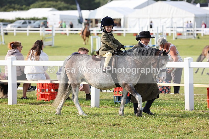 JPP_0153 - Class 14: Cornish Combination Leading Rein
