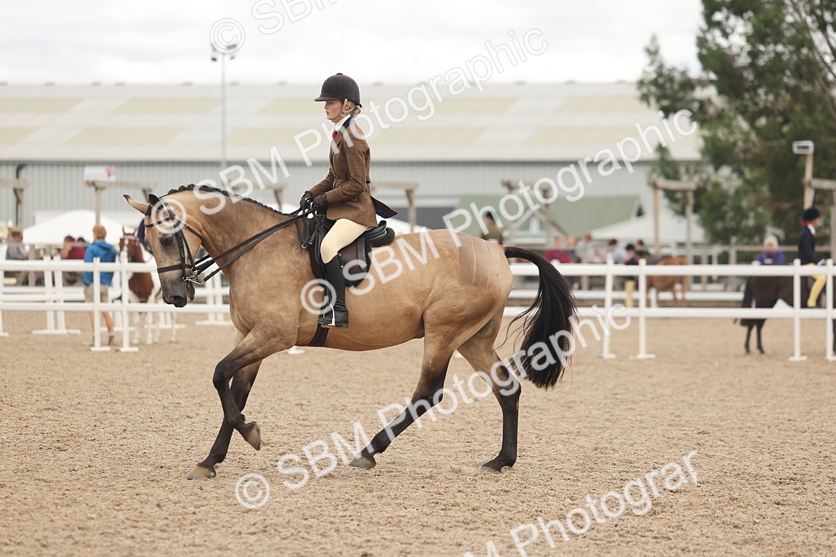SBM_18140 - Class 315 - Best Horse-Rider Combination