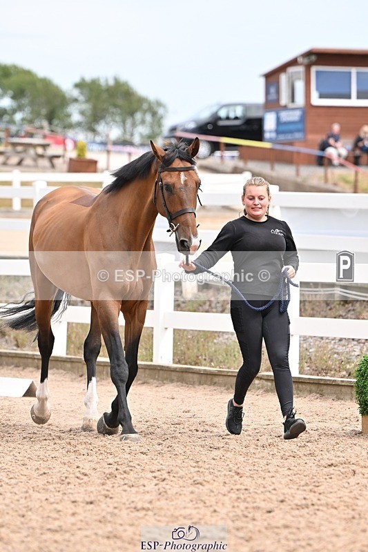 250716-154310-02159 - Trot Up 3.30 to 4.30