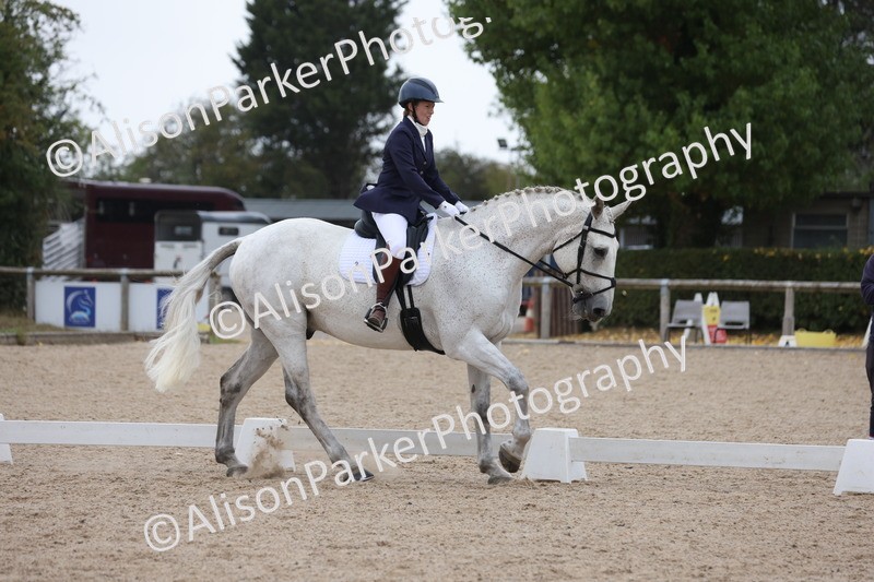 20250820-0320 - Class 11 - My Quest Novice 3