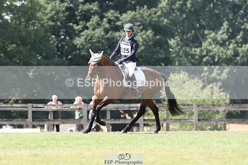 250823A-132633-31314 - Arena D