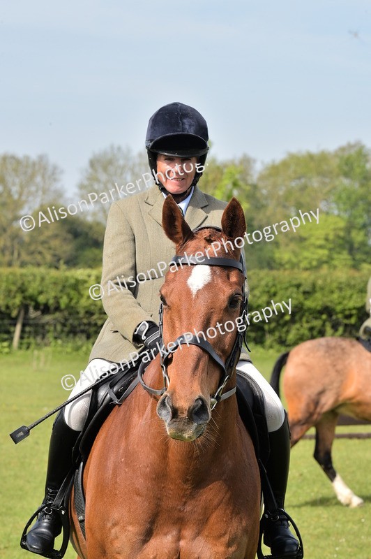 20260426-0942 - Class 18 - Novice Showing