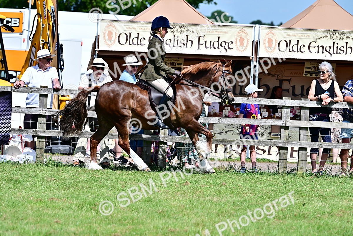 SBM_07892 - Class 61-62 - TSR  M&M Ridden Amateur of the Year
