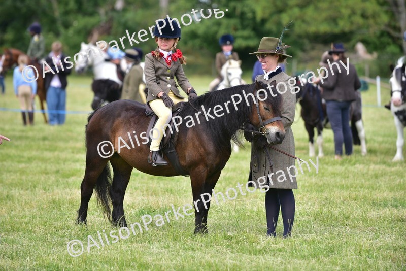 20260614-1269 - Class 11a - Lead Rein Pony (Unplaited)