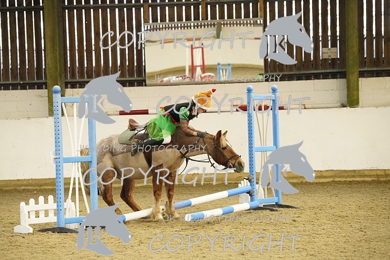 _DSC3276 - 50cm/60cm Pairs