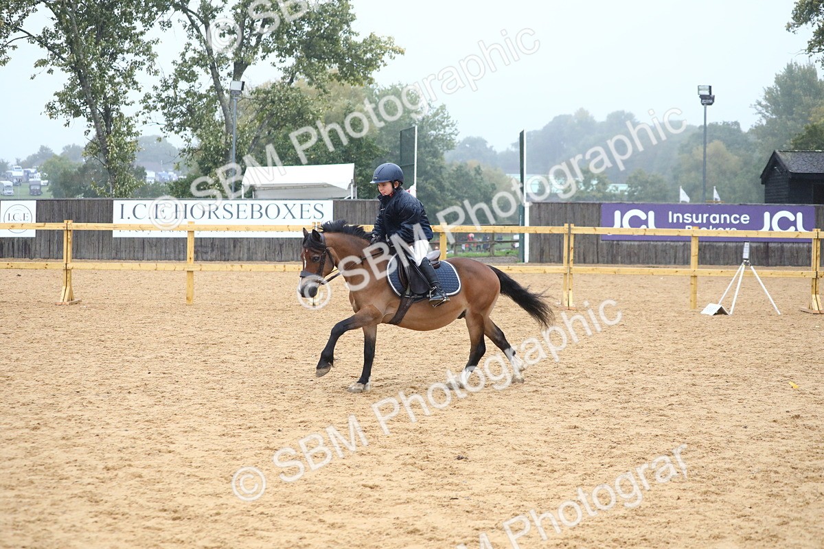 SBM_71751 - J4 - Mini Tour Junior Pony 45cm Championship