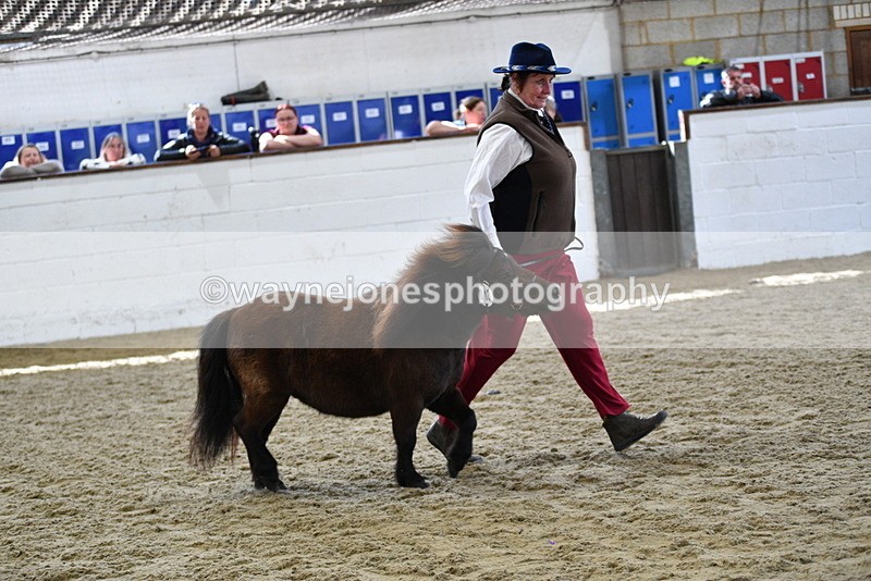 WJ5_5255 - Class 4 In hand M&M - small breeds