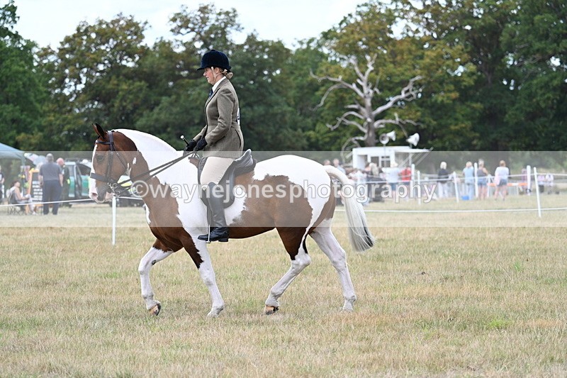 WJ7_4983 - Class 12 Ridden Cob